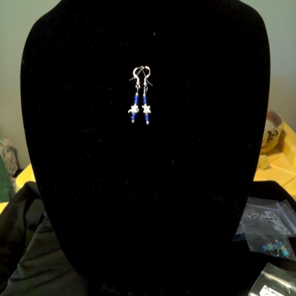 Elegant Silver Rattlesnake Bone Earrings With Royal Blue Beads